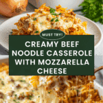 Beef Noodle Casserole Recipe