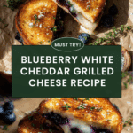 Blueberry White Cheddar Grilled Cheese Recipe