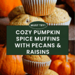 Pumpkin Spice Muffins Recipe