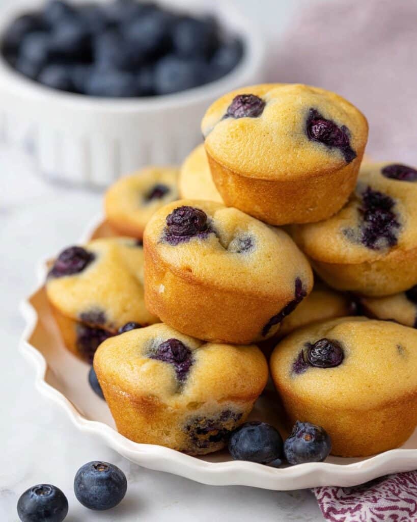 Blueberry Mini Muffins Recipe